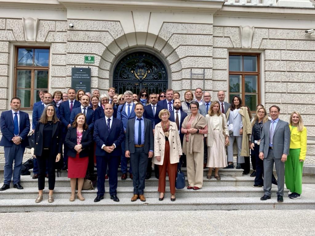 AEAJ seminar and General assembly on 16-17 May 2025 in Ljubljana 