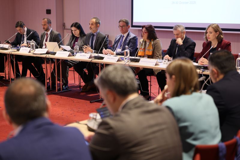 AEAJ takes part into OSCE-ODIHR Conference on Rule of Law and Independence of Administrative Justice